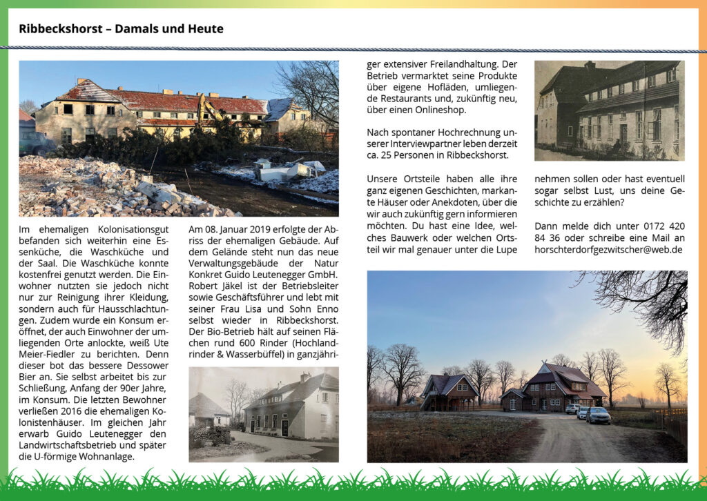 Dritte Seite der Vereinszeitung, Fortsetzung des Porträts über Ribbeckshorst. Ein großes Farbfoto oben links zeigt Abbrucharbeiten an alten Gebäuden im Jahr 2019. Unten rechts zeigt ein aktuelles Farbfoto ein modernes, neugebautes Verwaltungsgebäude der Natur Konkret GmbH unter einem klaren Abendhimmel. Der Text berichtet über den Bio-Betrieb mit rund 600 Rindern und Wasserbüffeln.